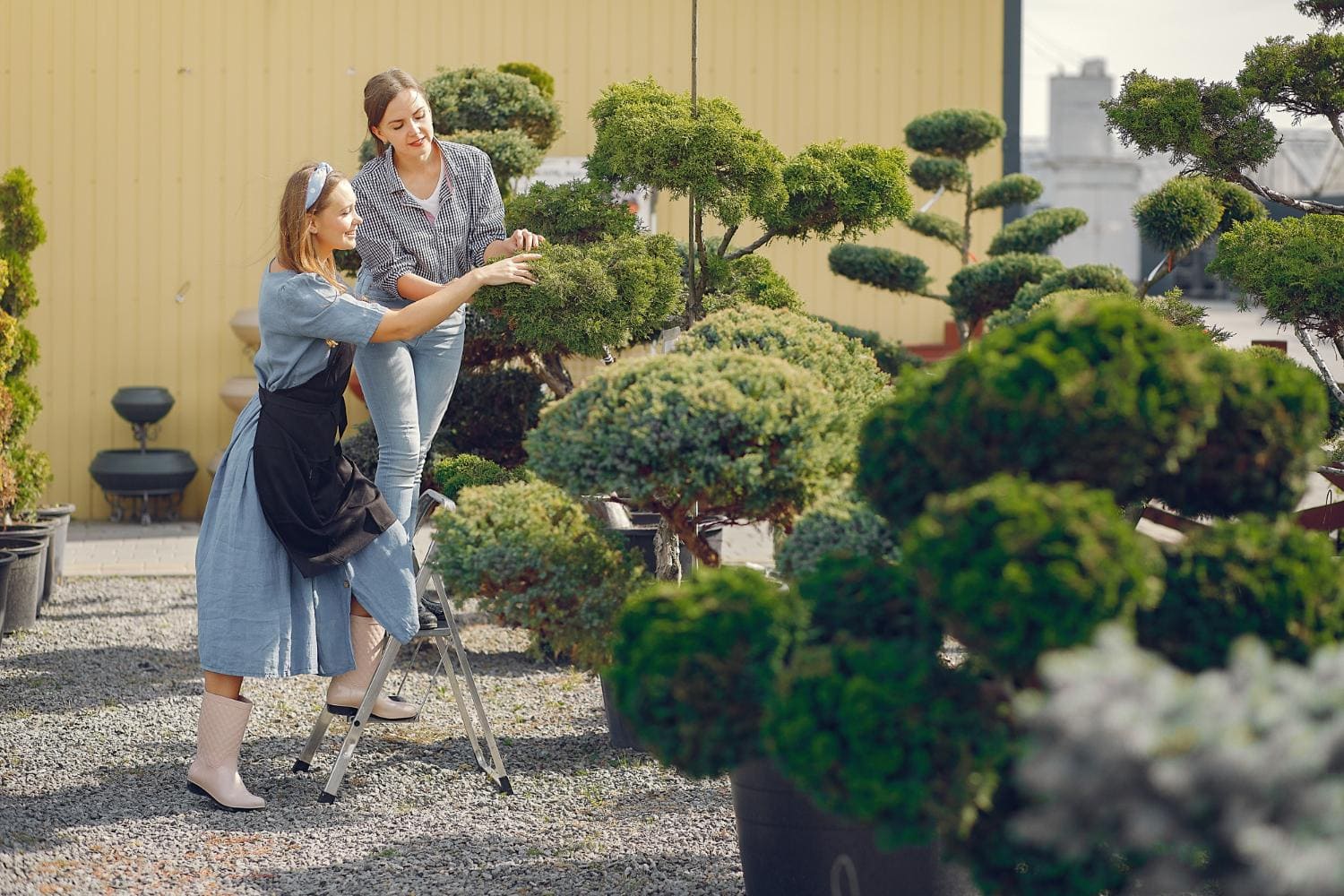 Unlocking Outdoor Potential: Smart Systems & Seamless Design π‘β¨